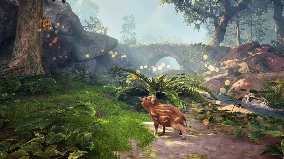 Фото: Adorable Adventures