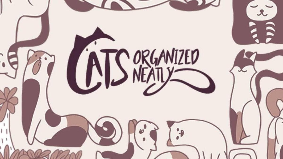 Фото: Cats Organized Neatly