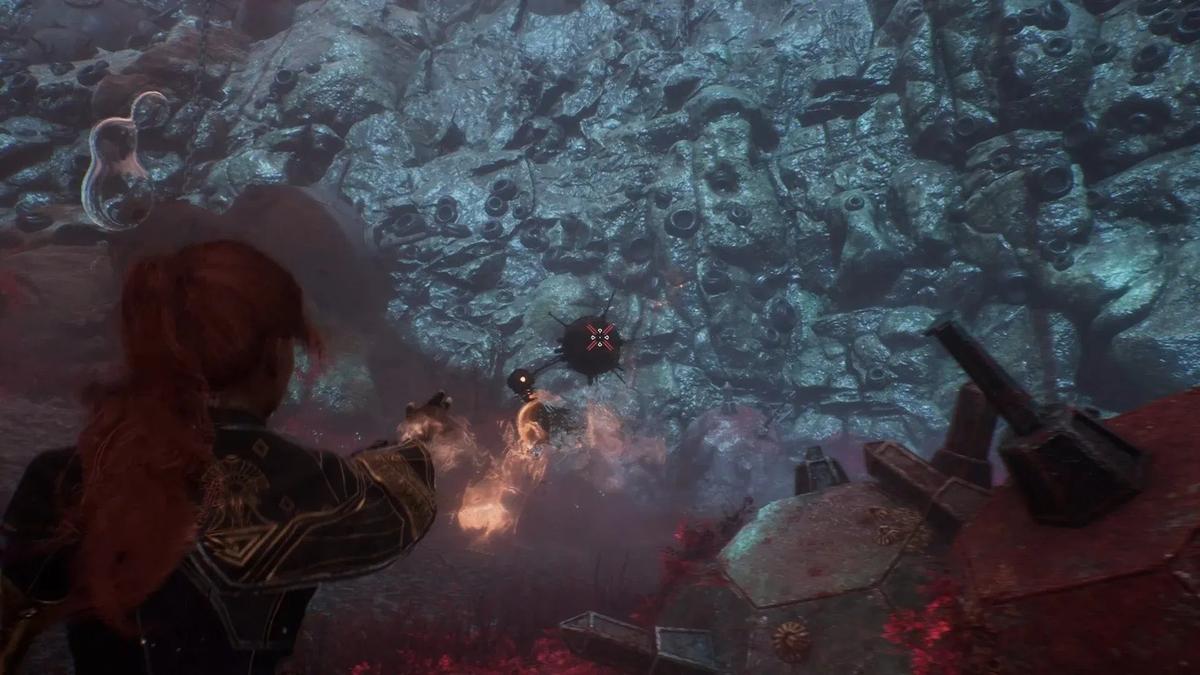 Фото: Expedition 33