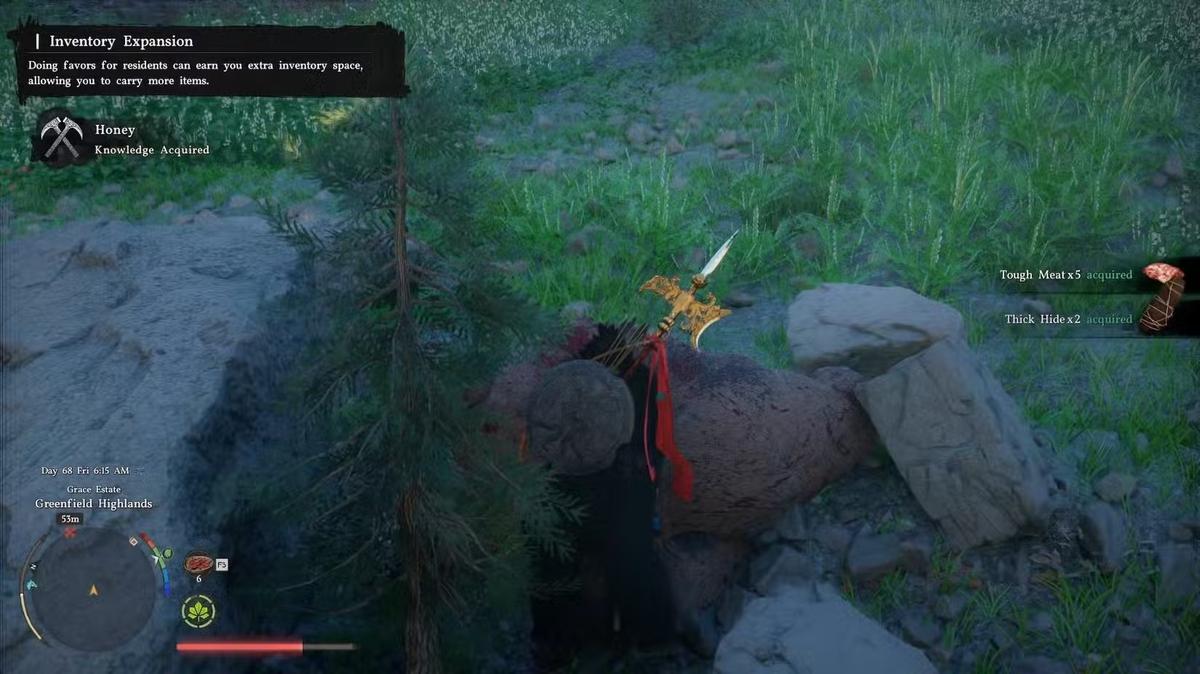 Фото: Crimson Desert