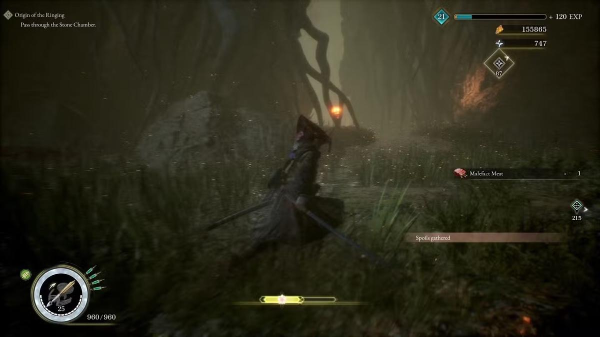 Фото: Beast of Reincarnation
