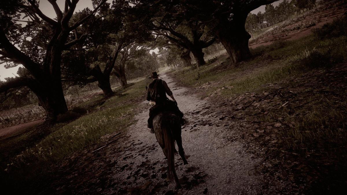 Фото: Red Dead Redemption 2