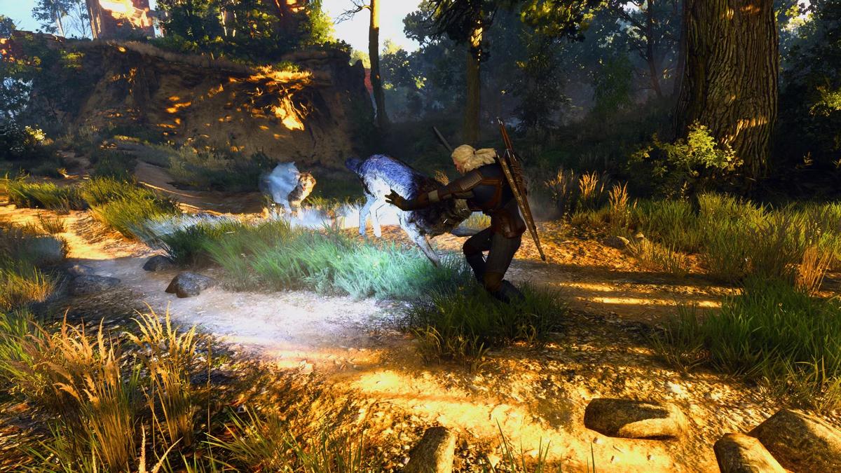 Фото: The Witcher 3: Wild Hunt