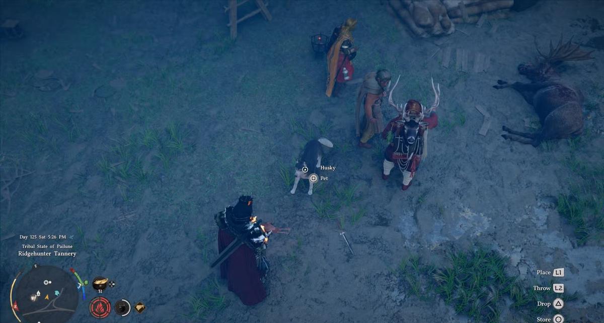 Фото: Crimson Desert