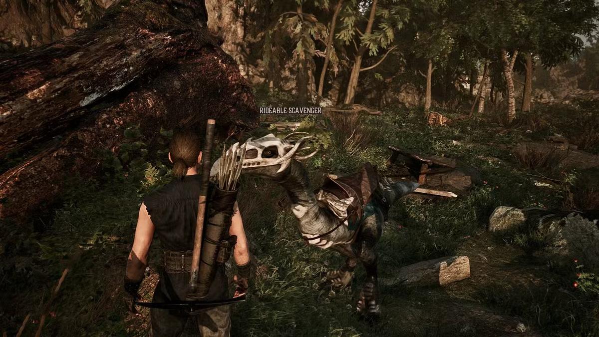 Фото: Gothic 1 Remake