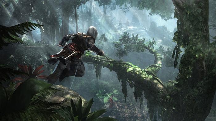 Фото: Assassin's Creed Black Flag