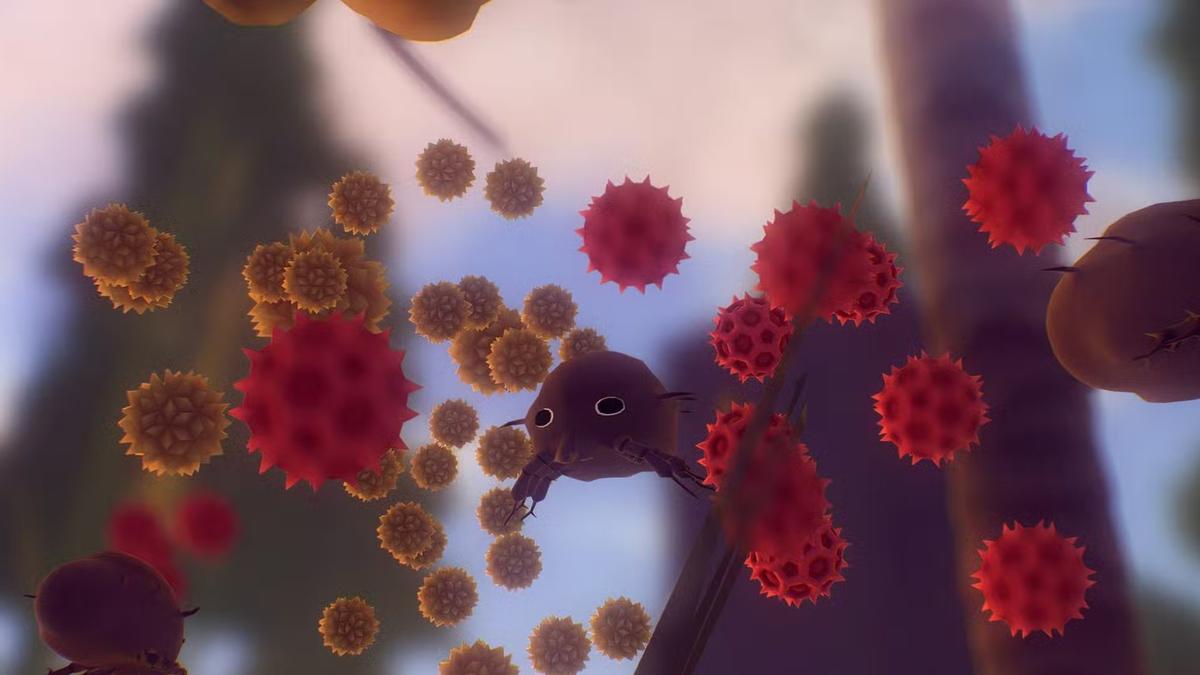 Фото: Everything