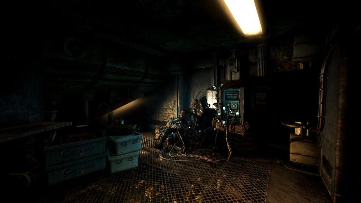 Фото: Soma