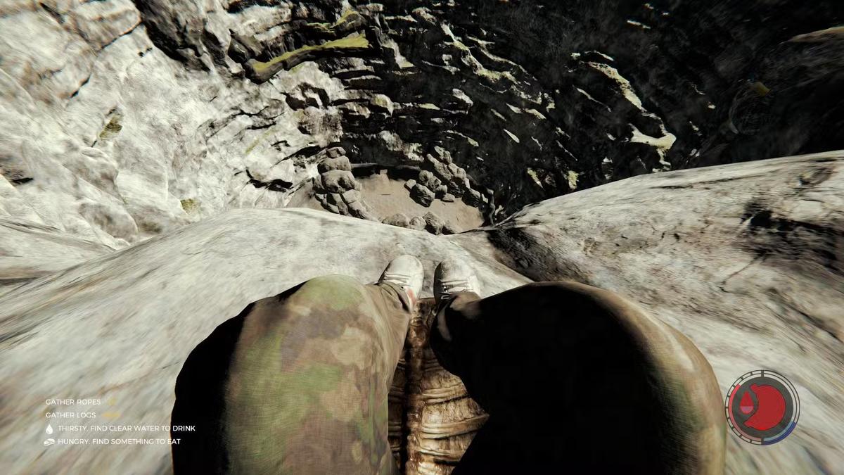 Фото: The Forest