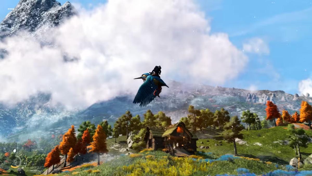 Фото: Light No Fire