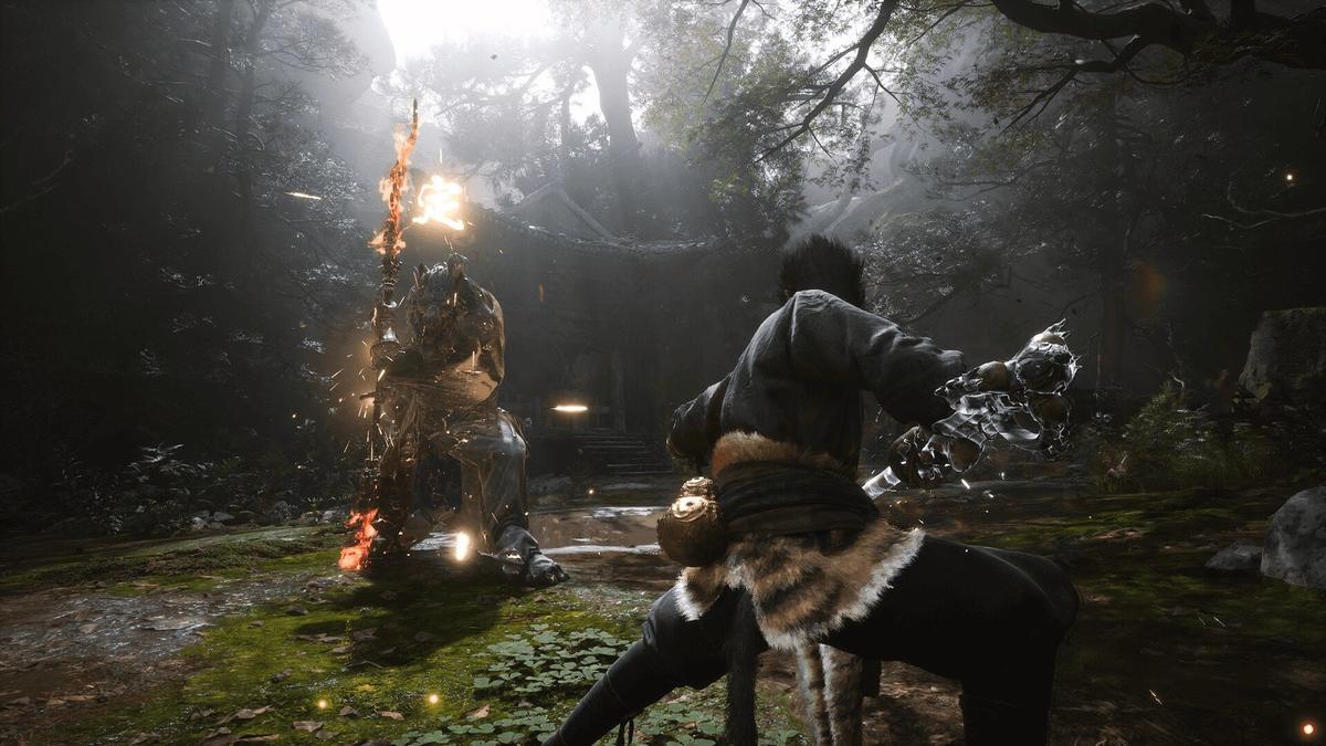 Фото: Black Myth: Wukong