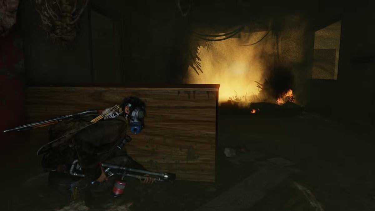 Фото: The Last Of Us