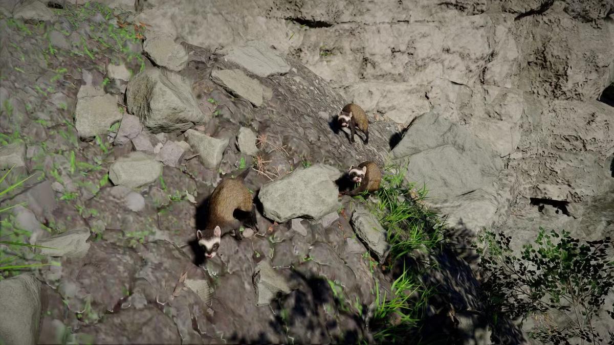 Фото: Crimson Desert