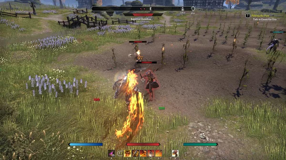 Фото: The Elder Scrolls Online