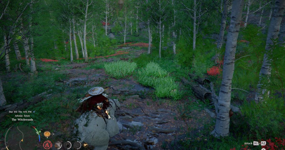 Фото: Crimson Desert