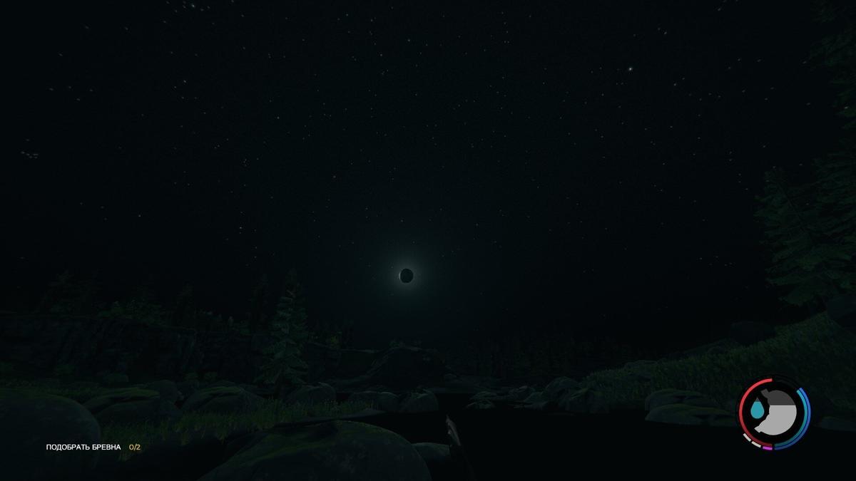 Фото: The Forest