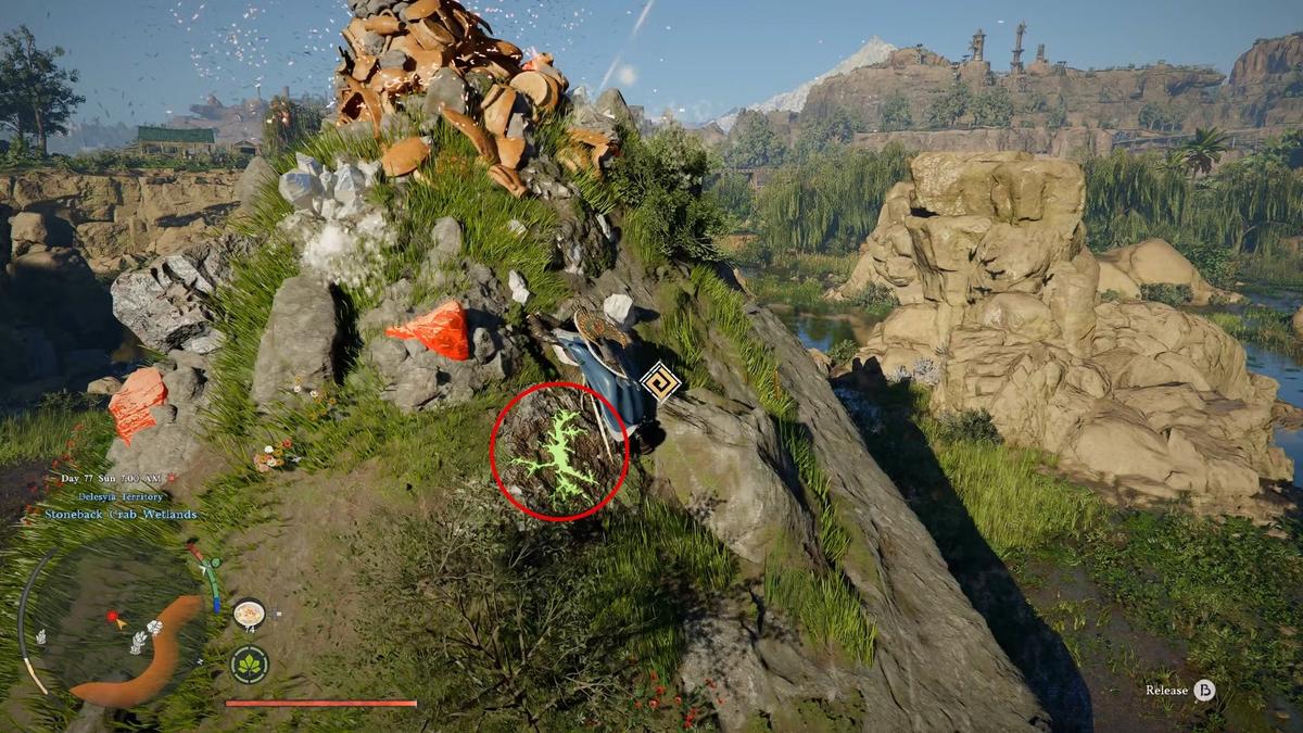 Фото: Crimson Desert