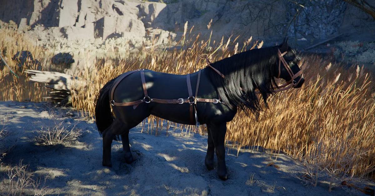 Фото: Crimson Desert