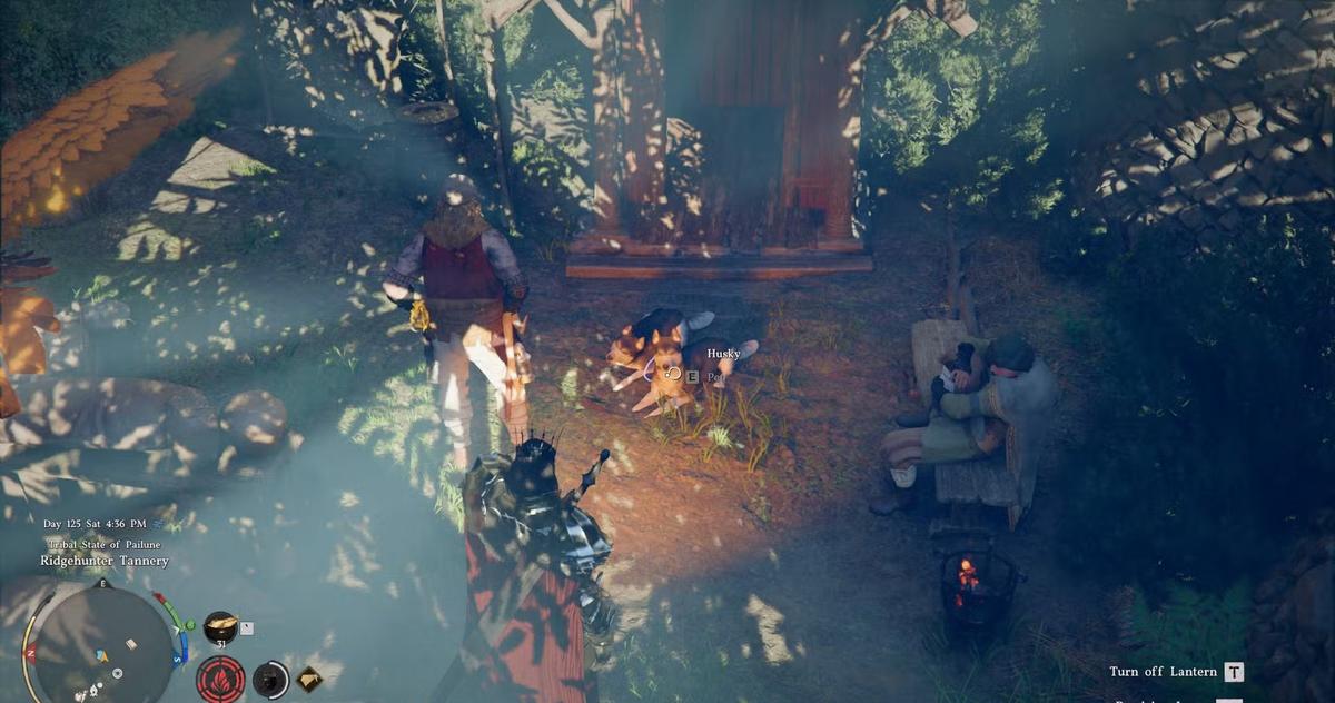 Фото: Crimson Desert