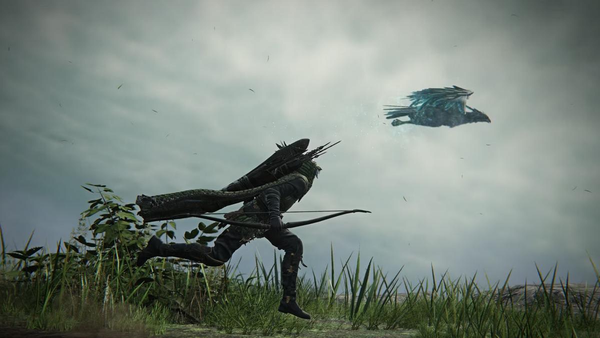 Фото: Elden Ring Nightreign