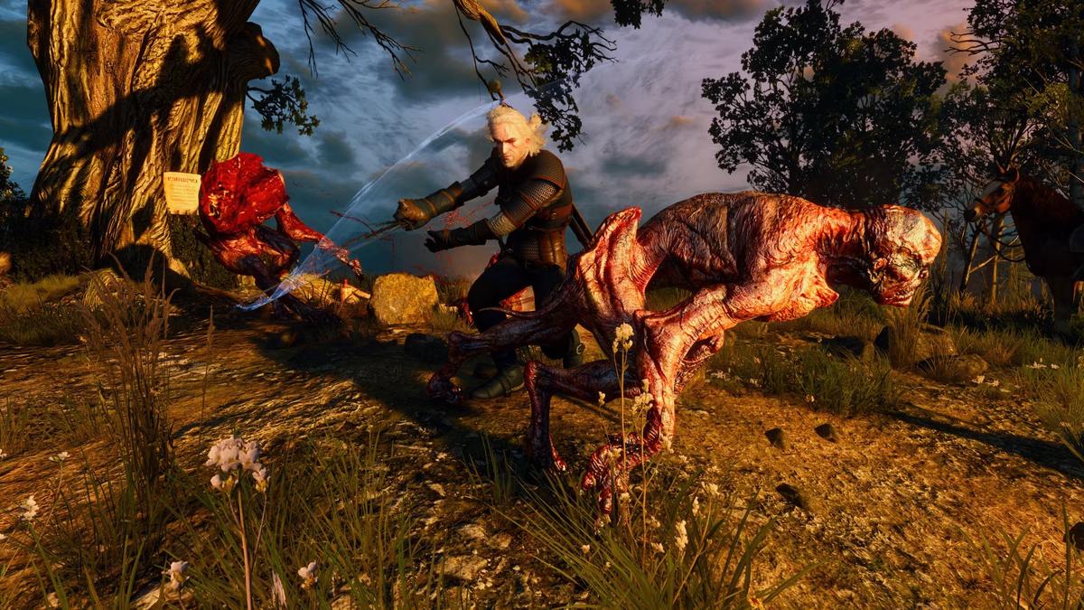 Фото: The Witcher 3: Wild Hunt