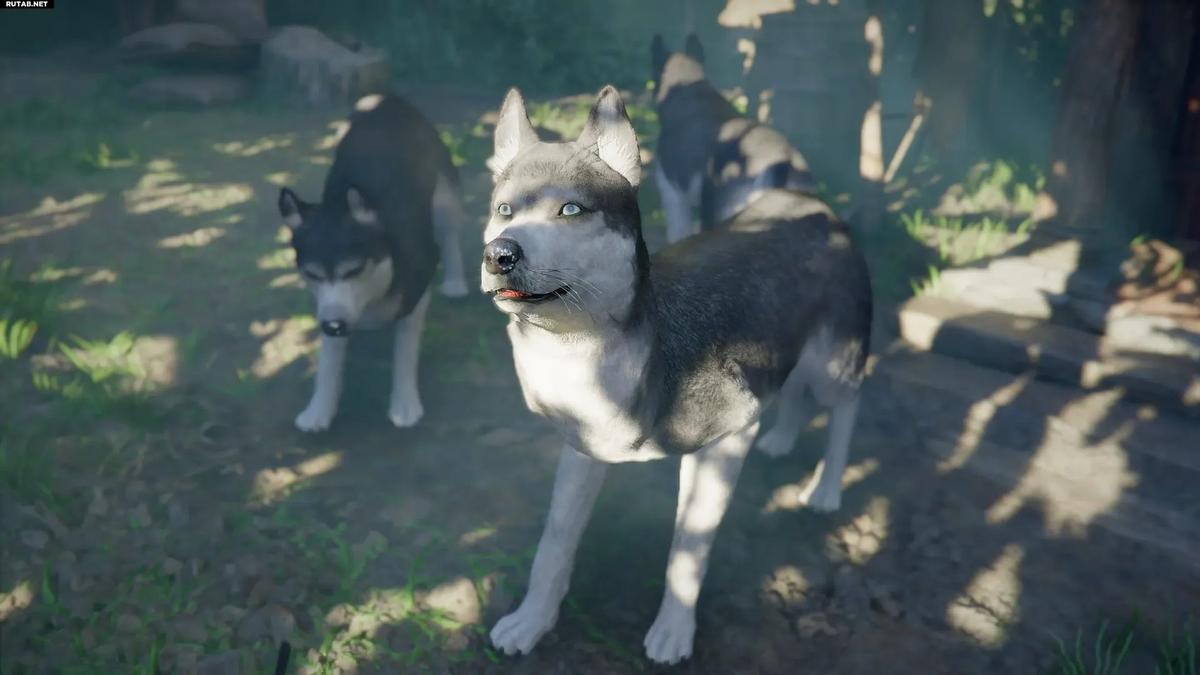 Фото: Crimson Desert