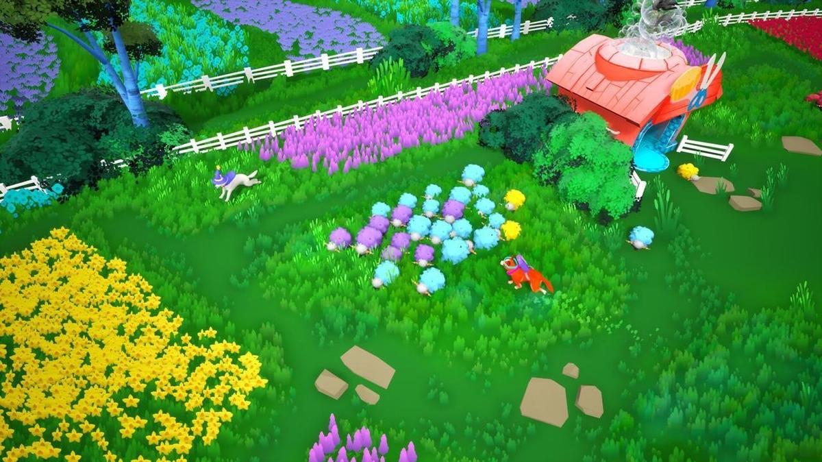 Фото: Sheepherds