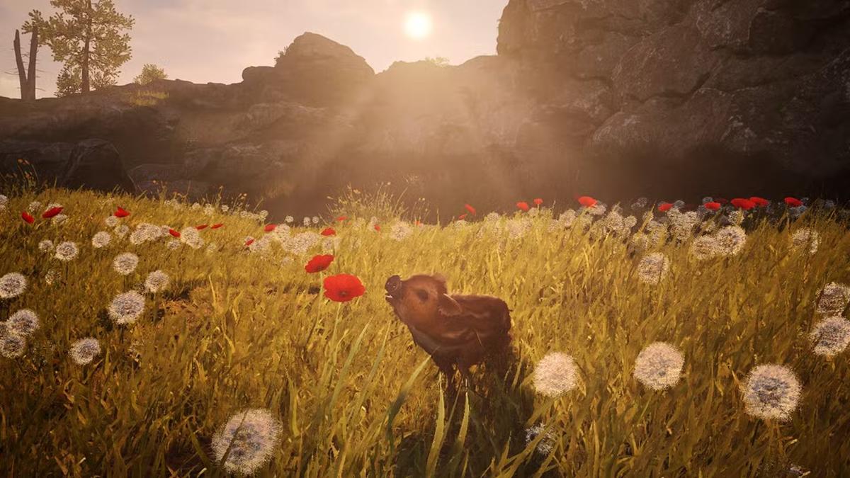 Фото: Adorable Adventures