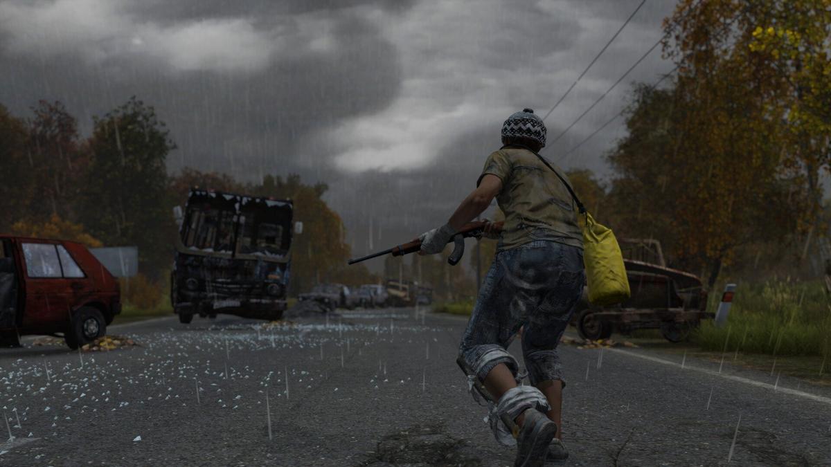 Фото: DayZ