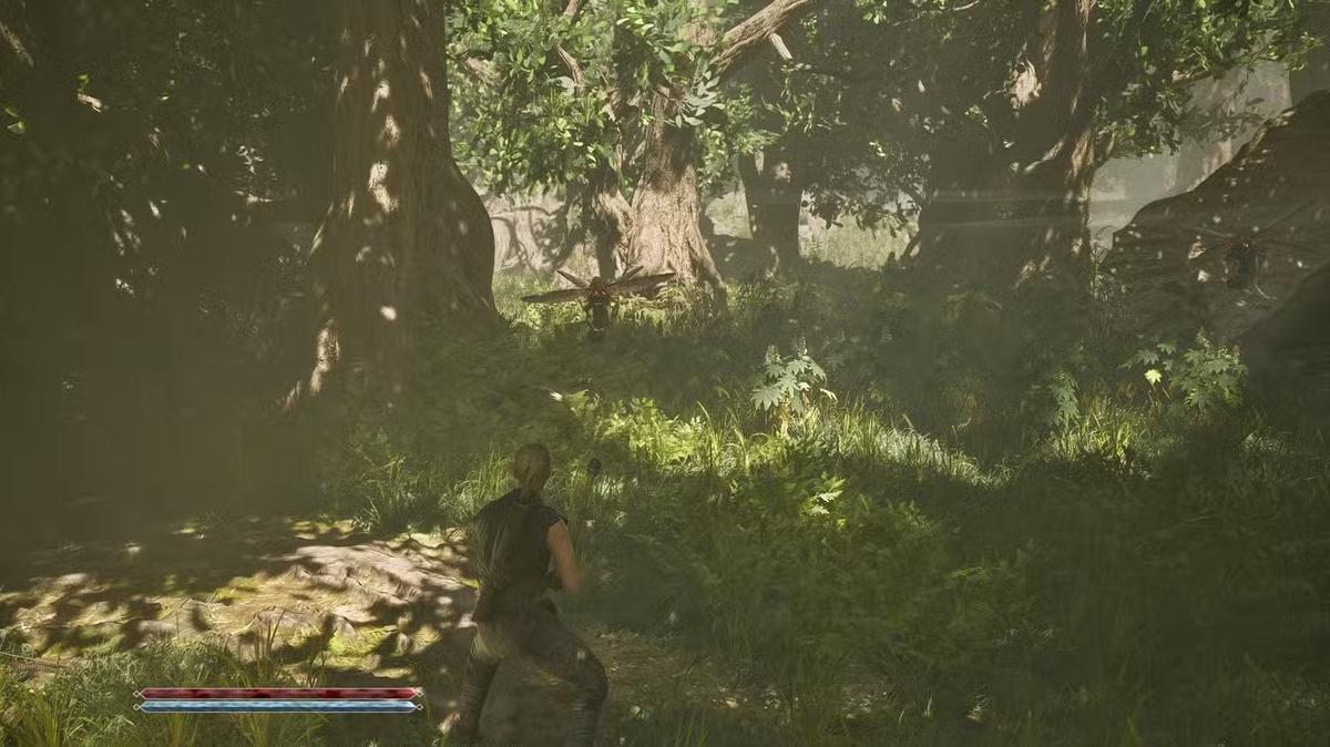 Фото: Gothic 1 Remake