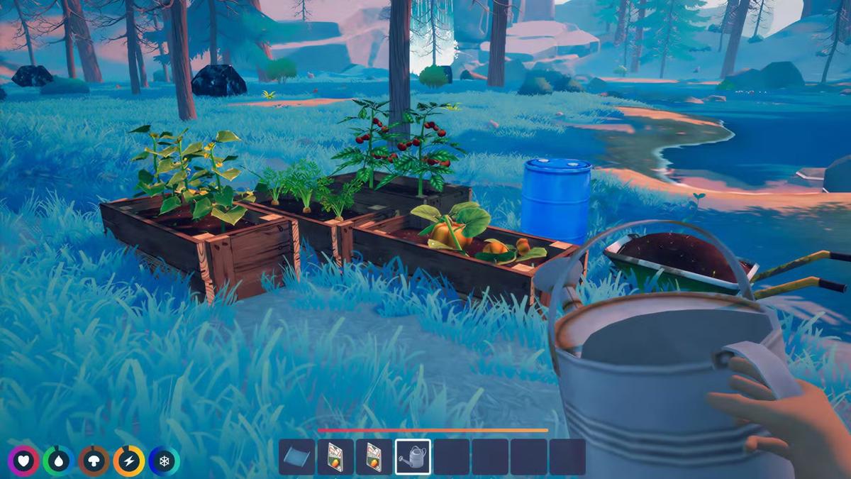 Фото: Under Canopie