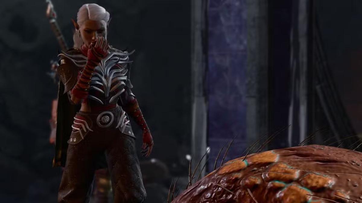 Фото: Baldur’s Gate 3