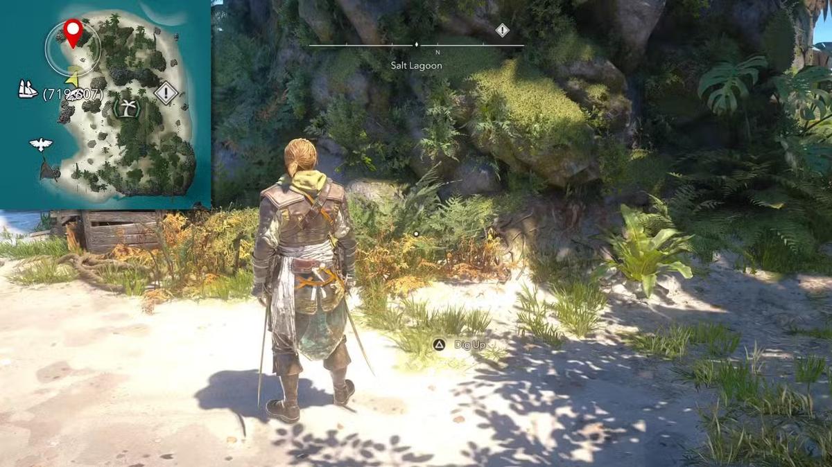 Фото: Assassin's Creed Black Flag Resynced