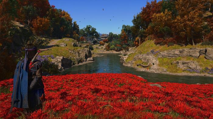 Фото: Assassins Creed Shadows