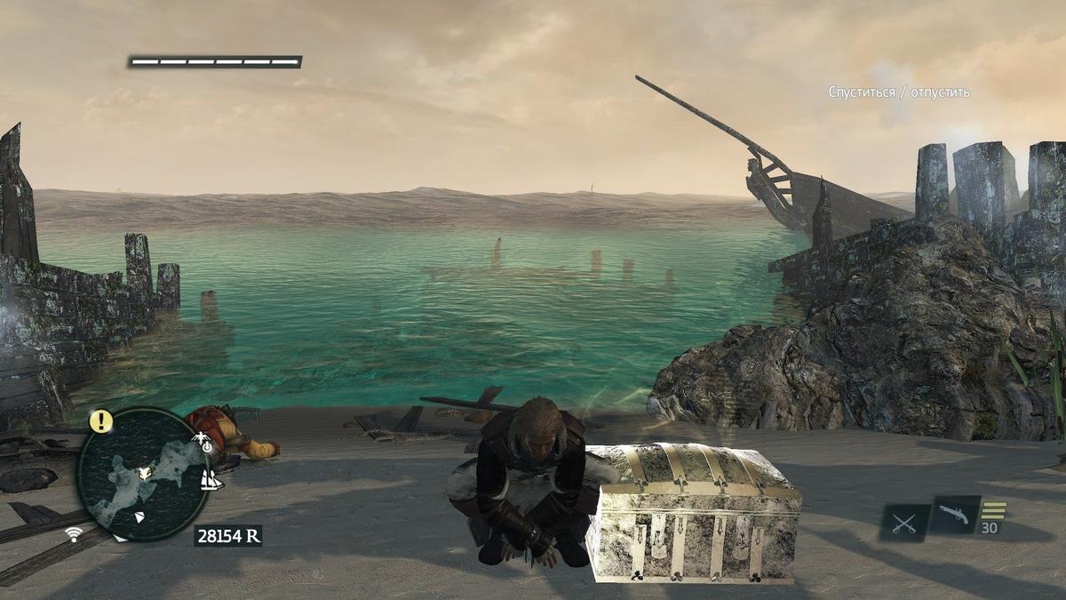 Фото: Assassin's Creed Black Flag