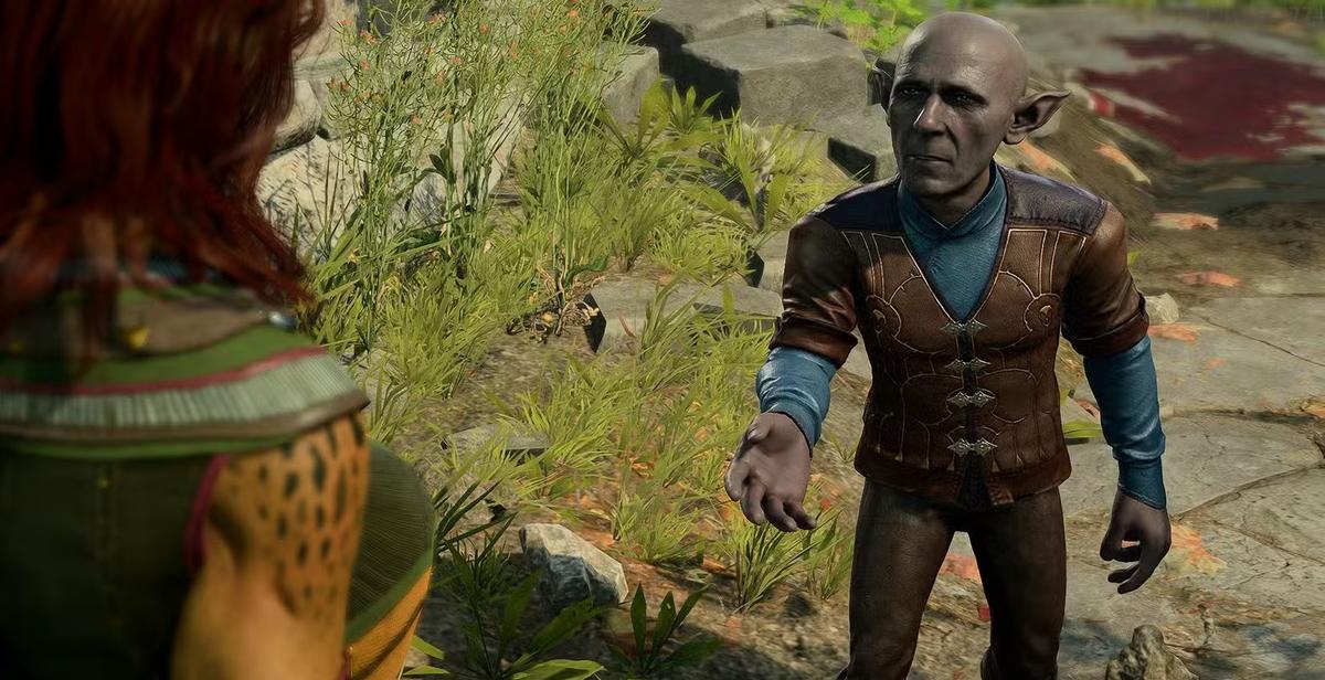 Фото: Baldur’s Gate 3