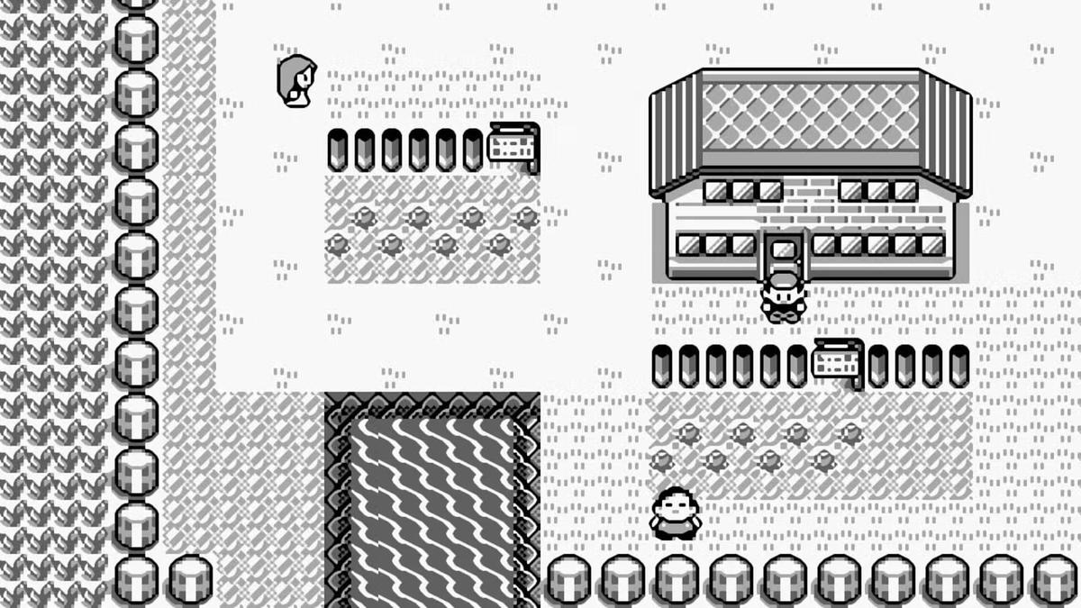 Фото: Pokemon Red & Blue