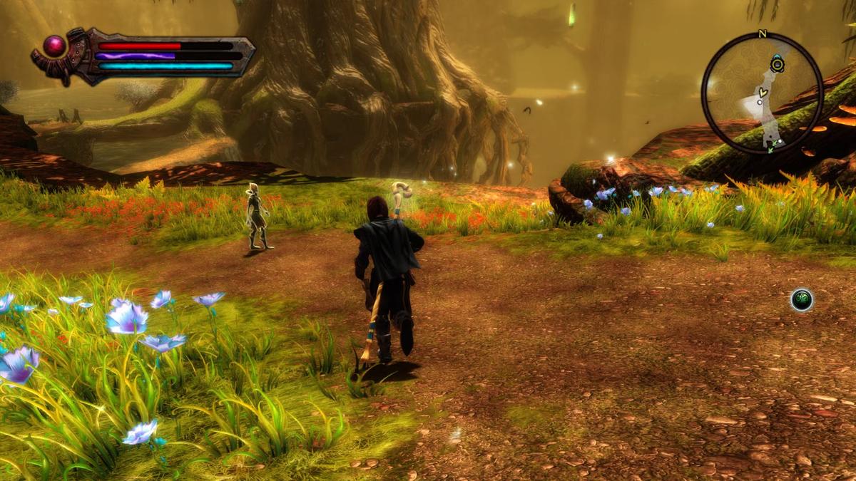 Фото: Kingdoms Of Amalur: Reckoning