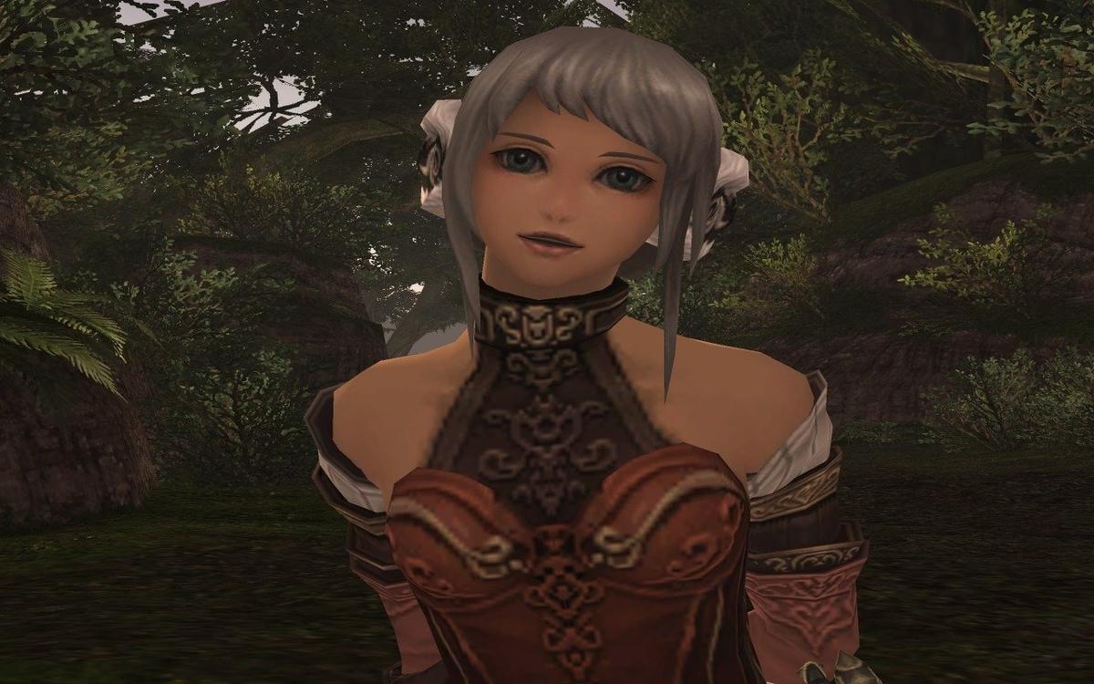 Фото: Final Fantasy 11