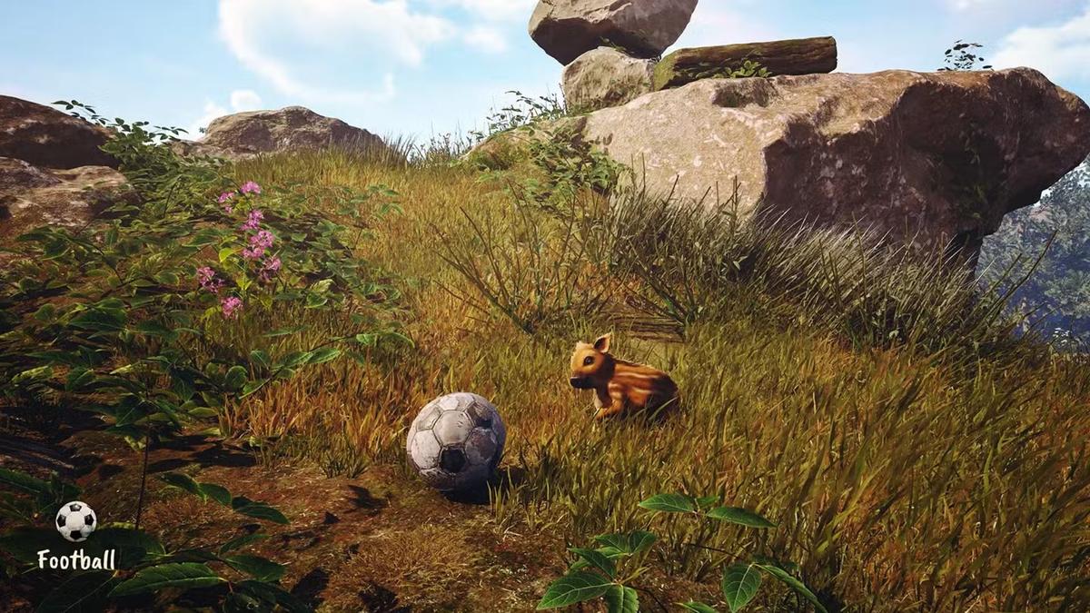 Фото: Adorable Adventures