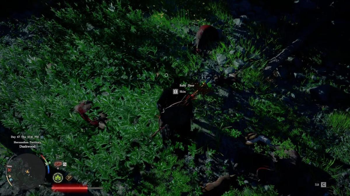 Фото: Crimson Desert