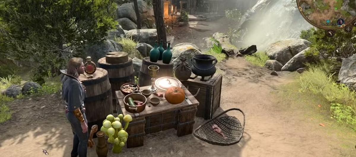 Фото: Baldur's Gate 3