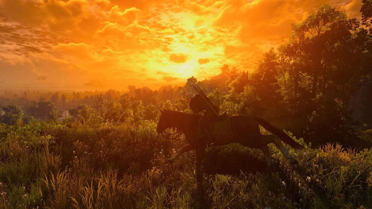 Фото: The Witcher 3: Wild Hunt