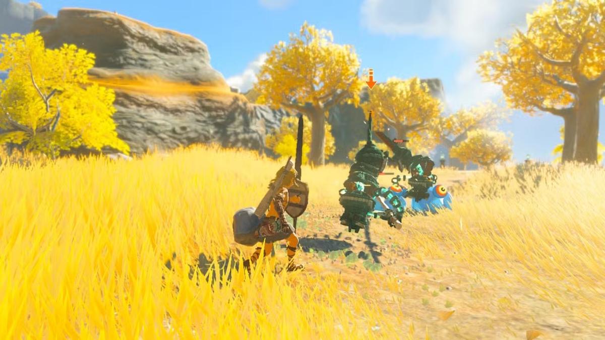 Фото: The Legend of Zelda: Tears Of The Kingdom