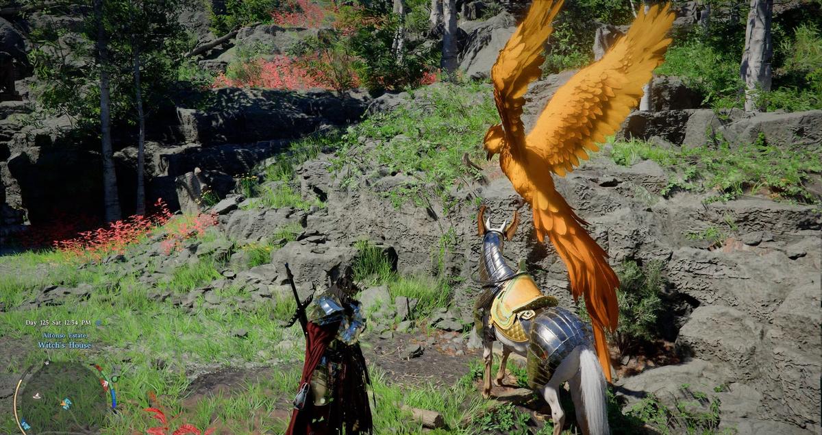 Фото: Crimson Desert