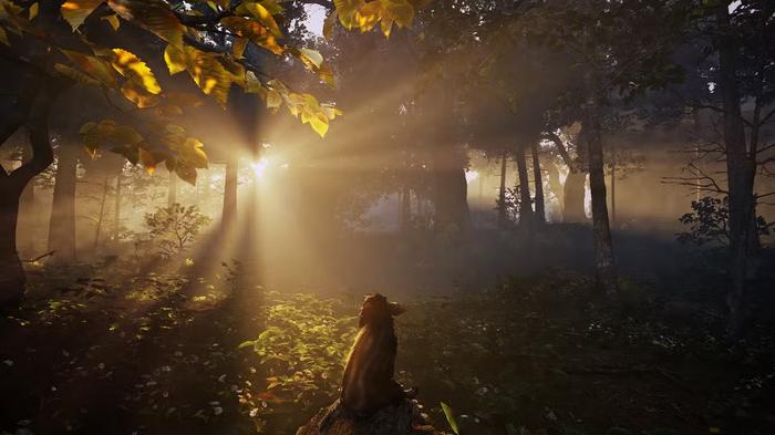 Фото: Adorable Adventures