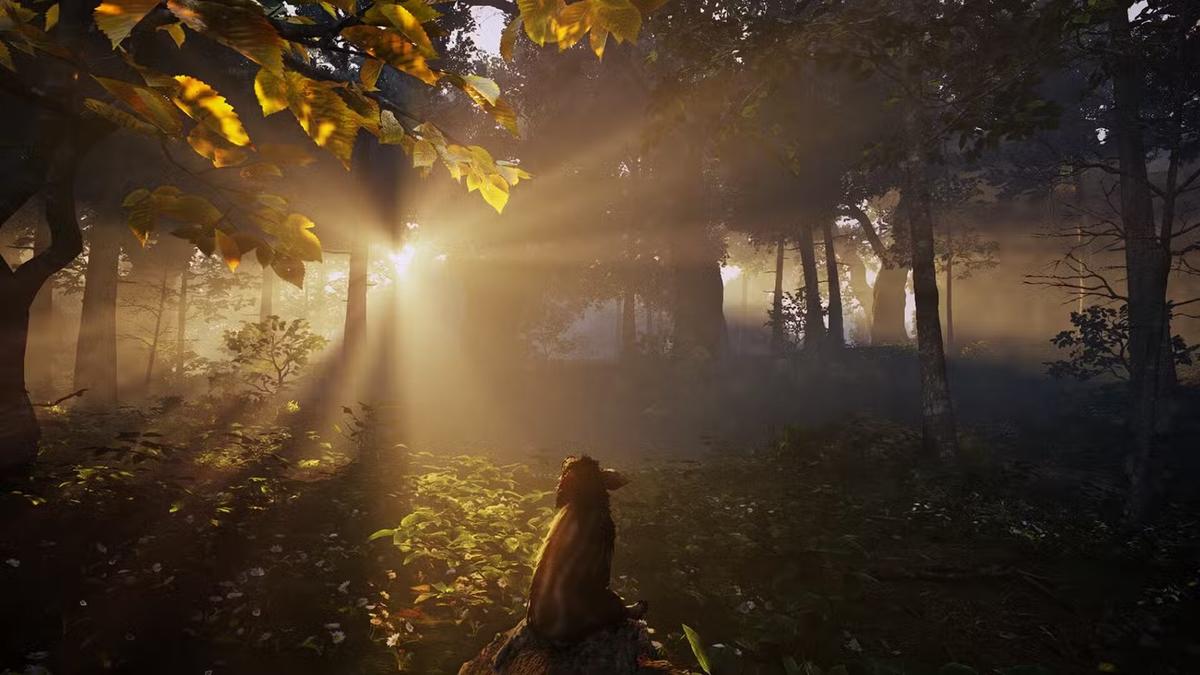 Фото: Adorable Adventures