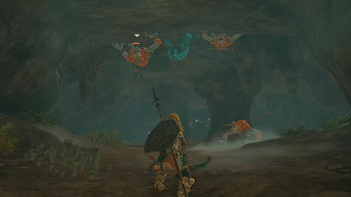 Фото: The Legend Of Zelda: Tears Of The Kingdom