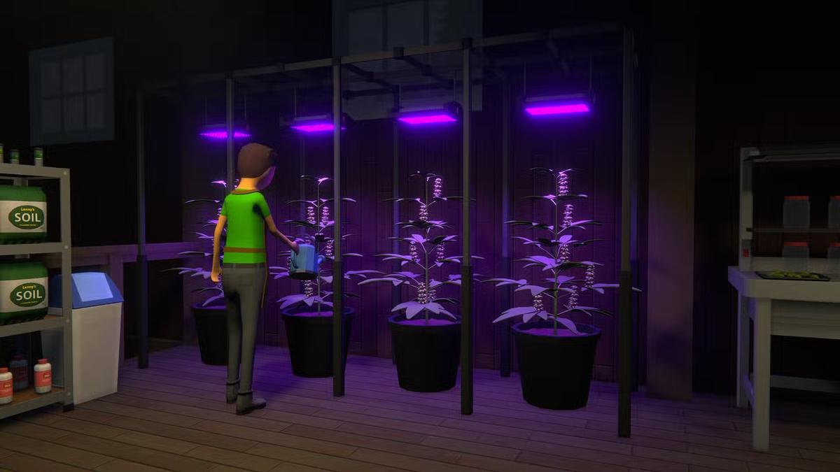 Фото: Schedule 1