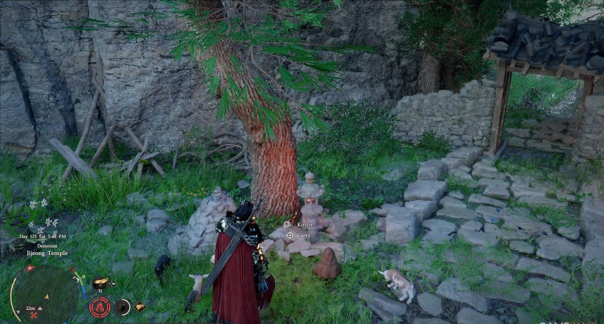 Фото: Crimson Desert